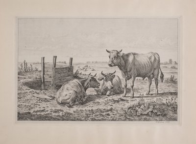 Ein Stier und zwei Kühe von Andreas Peter Madsen