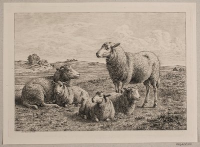 Schafe und Lämmer auf der Weide von Andreas Peter Madsen