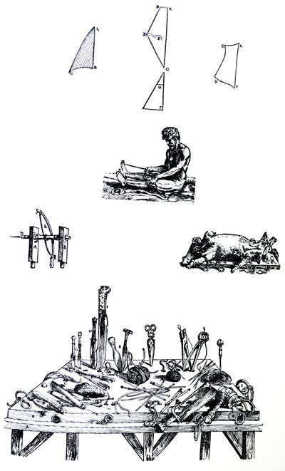 Die Tafeln aus dem zweiten Buch der De Humani Corporis Fabrica von Andreas Vesalius
