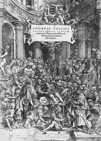 Titelseite von De humani corporis fabrica (Lateinisch für Über den Aufbau des menschlichen Körpers), wo Andreas Vesalius beim Sezieren eines Kadavers dargestellt ist von Andreas Vesalius