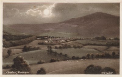 Chagford, Dartmoor von Andrew Beer