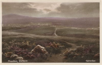 Princetown, Dartmoor von Andrew Beer