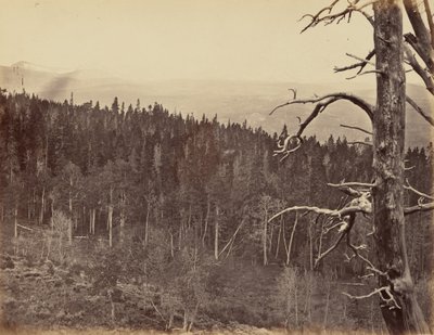 Tafel 13. Schnee- und Baumgrenze, Laramie Mountains von Andrew Joseph Russell