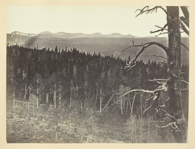 Schnee und Baumgrenze, Medicine Bow Mountain von Andrew Joseph Russell