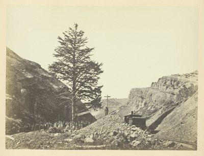 Tausend-Meilen-Baum, Wilhelminas Pass von Andrew Joseph Russell