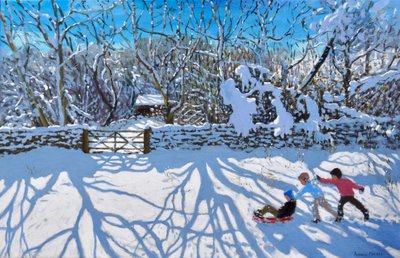 Schlittenfahren, Gambols Lane, Dovehead, High Peak, Derbyshire von Andrew Macara