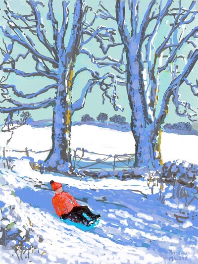 Schlittenfahren in Derbyshire, 2021 von Andrew Macara