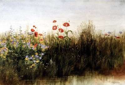 Wildblumen an einem Bach von Andrew Nicholl