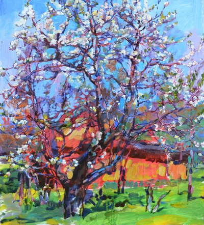 Blühender Frühlingsbaum von Andrii Kutsachenko