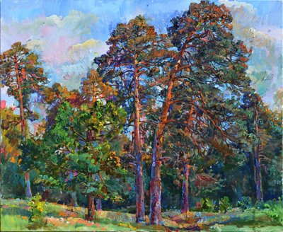 Sonnenbeschienene Kiefern von Andrii Kutsachenko
