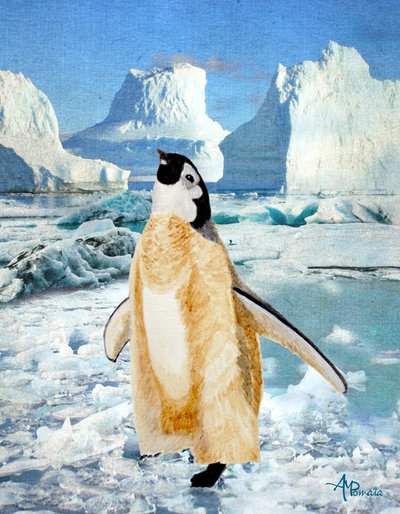 Neugieriger Pinguin auf Antarktischem Eis von Angeles M. Pomata