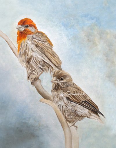 Finken auf einem Ast von Angeles M. Pomata