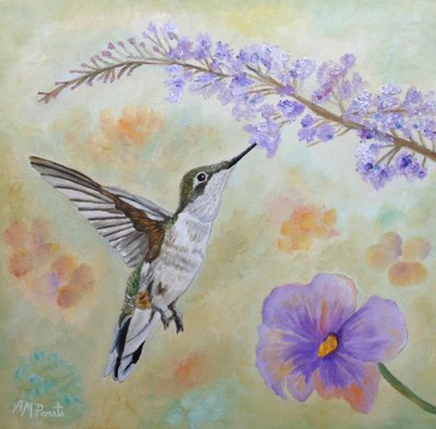 Kolibri beim Nektarschlürfen von Angeles M. Pomata