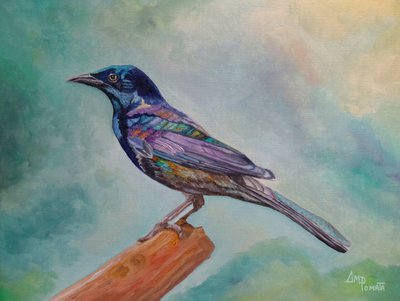 Schillernder Vogel auf Ast von Angeles M. Pomata