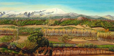 Ländlicher Bergweinberg von Angeles M. Pomata