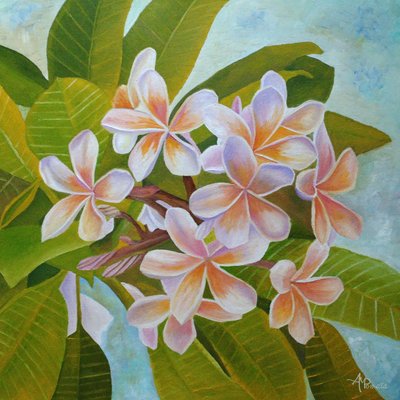 Weiche Plumeria-Blüten von Angeles M. Pomata
