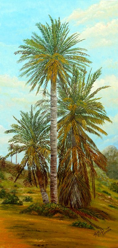 Sonnige Wüstenpalmen von Angeles M. Pomata