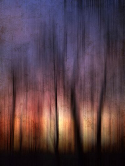 Abstrakter Waldsonnenuntergang von Angelo Cerantola