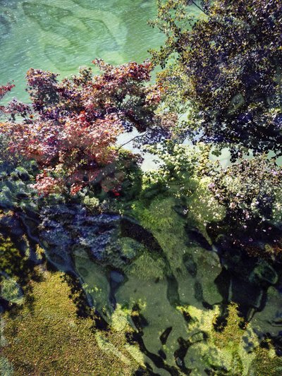 Herbstliche Wasserreflexionen von Angelo Cerantola
