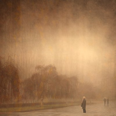Träumiger Herbstspaziergang von Anja Buehrer