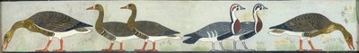 Kopie der Wandmalerei aus der Mastaba von Itet, Medum IV, 93-94 Gänse, 20. Jahrhundert von Anna