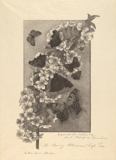 Die Kirschblüten - High Tea von Anna Botsford Comstock