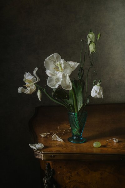 Elegantes Blumen-Stillleben von Anna Petina