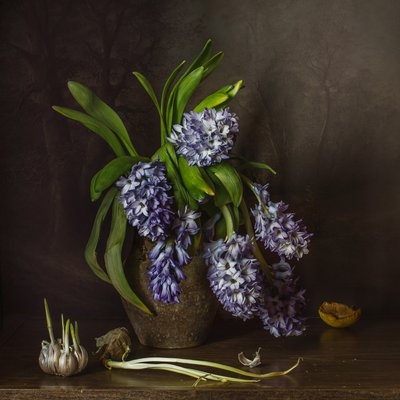 Rustikale Hyazinthen und Knoblauch von Anna Petina