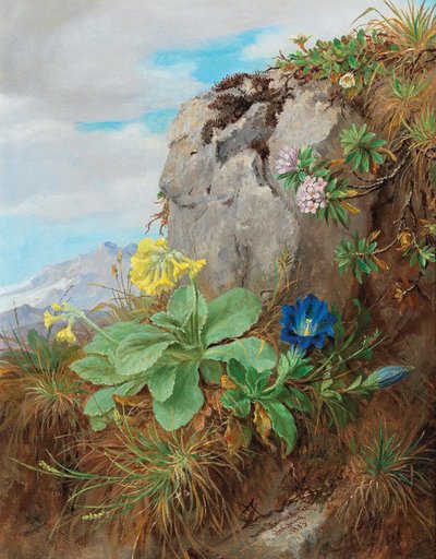 Alpenblumen von Anna Stainer-Knittel