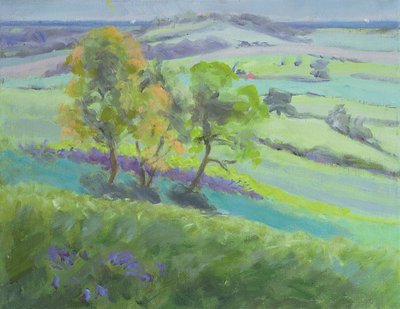 Nach Winchelsea, Sussex, mit Glockenblumen im Frühling von Anne Durham