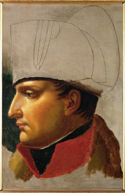 Kaiser Napoleon I. von Anne Louis Girodet de Roucy-Trioson