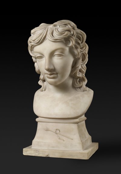 Büstenporträt von Prinz Henry Lubomirski in der Rolle des Bacchus, ca. 1787 von Anne Seymour Damer