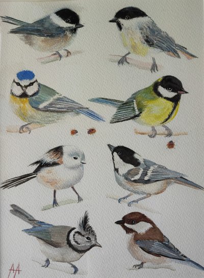 Charmante Gartenvögel von Annette Armitage