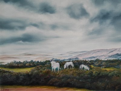 Gelassene Moorland-Ponys von Annette Armitage