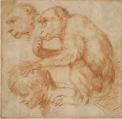 Carracci - Ein Affe auf den Schultern eines Mannes im Profil nach links und eine Studie seines Gesichts, Studie für ein Gemälde Rote Kreide, Ff,2.115 von Annibale Carracci