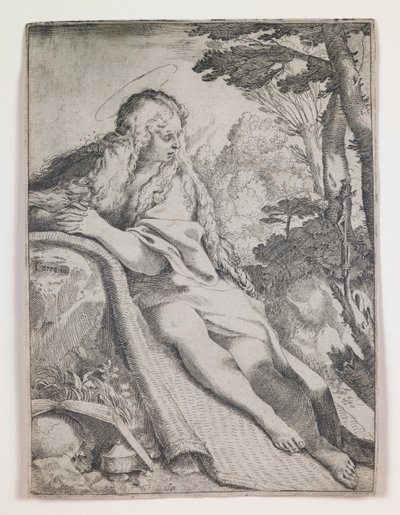 Maria Magdalena in der Wildnis von Annibale Carracci