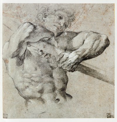 Studie einer männlichen Figur von Annibale Carracci