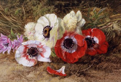 Anemonen von Annie Feray Mutrie