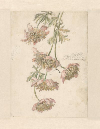 Drei Zweige mit Blumen von Anonymous