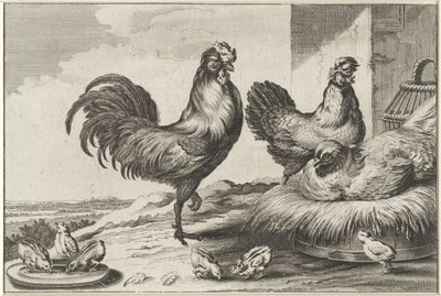 Huhn, Hähne und Küken von Anonymous