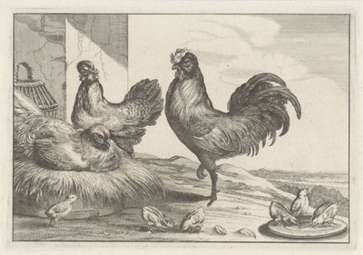 Huhn, Hähne und Küken von Anonymous