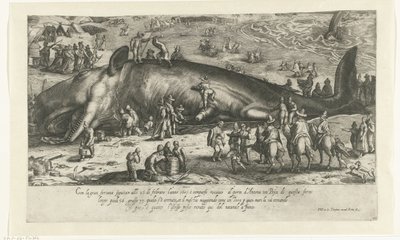 Kopie des gestrandeten Wals bei Berckhey von 1598 als der Wal bei Ancona 1601 gestrandet ist von Anonymous