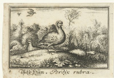 Landschaft mit Rebhühnern von Anonymous