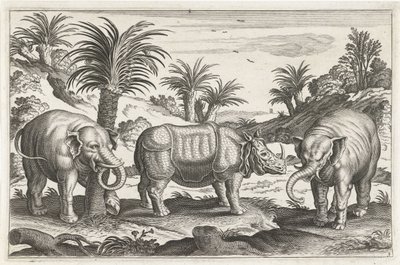 Elefanten und Nashorn von Anonymous