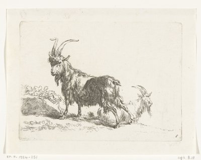 Stehende und liegende Ziege oder Bock von Anonymous