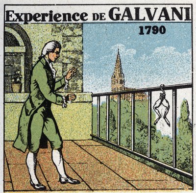 Batterien und Akkumulatoren: Experimente von Luigi Galvani (1737-1798) zur Elektrizität mit Froschschenkeln, um die Effekte auf Muskeln zu sehen, im Jahr 1790. Anonyme Illustration von 1925. Private Sammlung. von Anonymous Anonymous