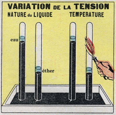 Zustandsänderungen: Dämpfe. Spannungsvariation je nach Art der Flüssigkeit oder Temperatur. Anonyme Illustration von 1925. Private Sammlung. von Anonymous Anonymous