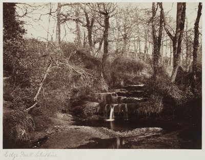 Edge Park, Cheshire, ca. 1865 von Anonymous Anonymous