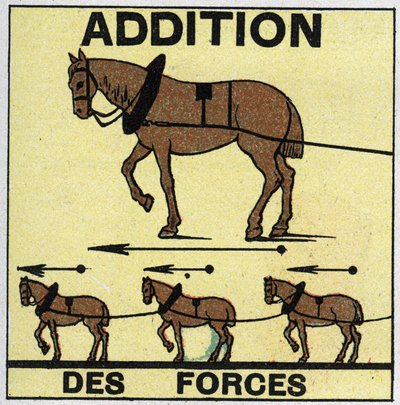 Kräfte: Addition von Kräften. Anonyme Illustration von 1925. Private Sammlung. von Anonymous Anonymous