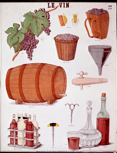Tafel illustriert über die Kunst der Weinherstellung und der Önologie: Traube, Trichter, Zimt, Korb und Extraktor, Weinstück, Korkenzieher, Flasche, Karaffe, Bohrer und Weinkiste. Gravur des 19. Jahrhunderts Private Sammlung von Anonymous Anonymous